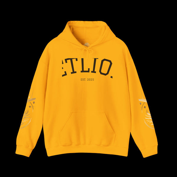 Manifest by JetLion Streak Hoodie:  Unisex Luxury Streetwear x Gift for Him x JetLion Signature Drop