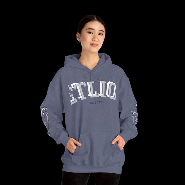 Manifest by JetLion Streak Hoodie: Unisex Luxury Streetwear Hoodies x Gift for Him x JetLion Signature Drop