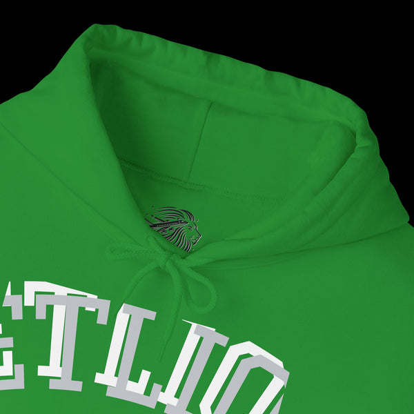 Manifest by JetLion Streak Hoodie: Unisex Luxury Streetwear Hoodies x Gift for Him x JetLion Signature Drop