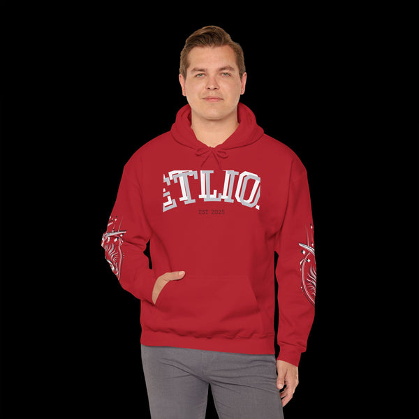 Manifest by JetLion Streak Hoodie: Unisex Luxury Streetwear Hoodies x Gift for Him x JetLion Signature Drop