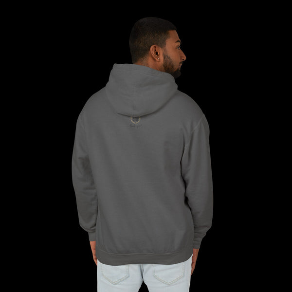 Adversity by JetLion – Unisex Hoodie | Unisex Lightweight Hooded Sweatshirt