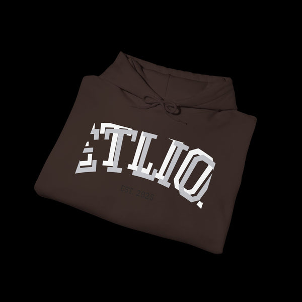 Manifest by JetLion Streak Hoodie: Unisex Luxury Streetwear Hoodies x Gift for Him x JetLion Signature Drop