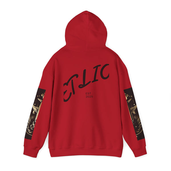 Manifest Hoodie:  Unisex Luxury Streetwear x Gift for Him x JetLion Signature Drop (Copy)