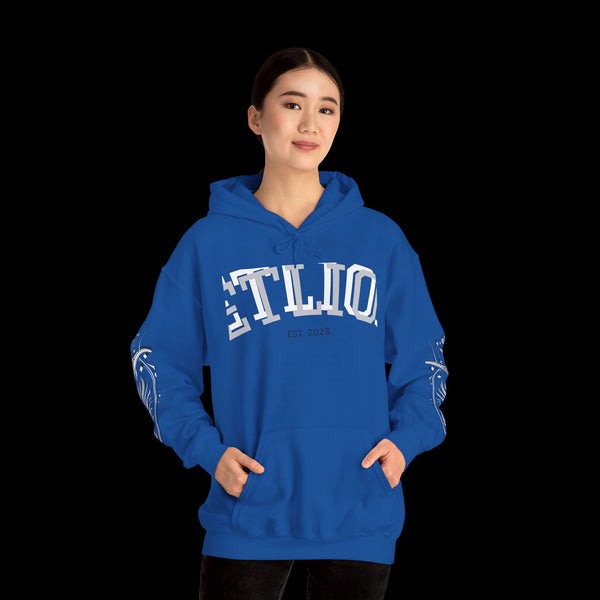 Manifest by JetLion Streak Hoodie: Unisex Luxury Streetwear Hoodies x Gift for Him x JetLion Signature Drop