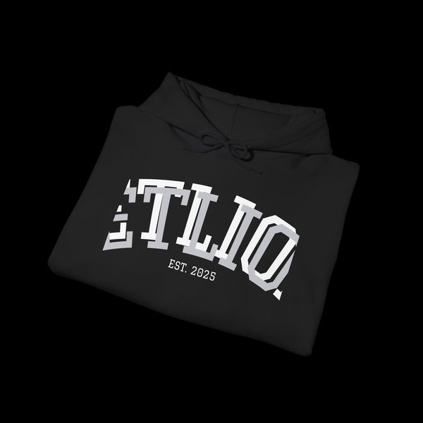 Manifest by JetLion Streak Hoodie: Unisex Luxury Streetwear Hoodies x Gift for Him x JetLion Signature Drop