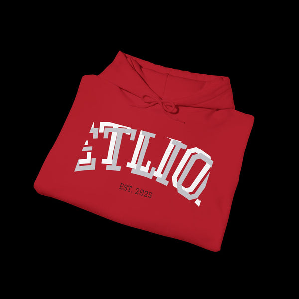 Manifest by JetLion Streak Hoodie: Unisex Luxury Streetwear Hoodies x Gift for Him x JetLion Signature Drop