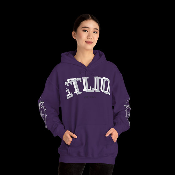 Manifest by JetLion Streak Hoodie: Unisex Luxury Streetwear Hoodies x Gift for Him x JetLion Signature Drop