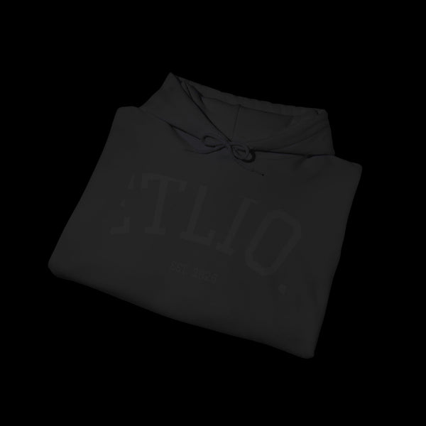 Manifest by JetLion Streak Hoodie:  Unisex Luxury Streetwear x Gift for Him x JetLion Signature Drop