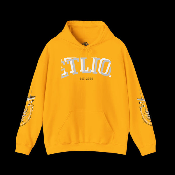 Manifest by JetLion Streak Hoodie: Unisex Luxury Streetwear Hoodies x Gift for Him x JetLion Signature Drop