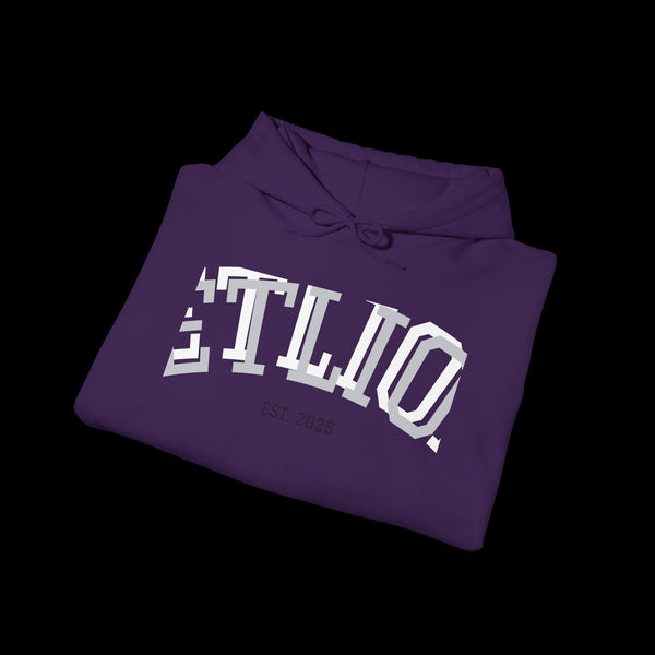 Manifest by JetLion Streak Hoodie: Unisex Luxury Streetwear Hoodies x Gift for Him x JetLion Signature Drop