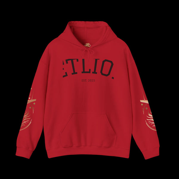 Manifest by JetLion Streak Hoodie:  Unisex Luxury Streetwear x Gift for Him x JetLion Signature Drop