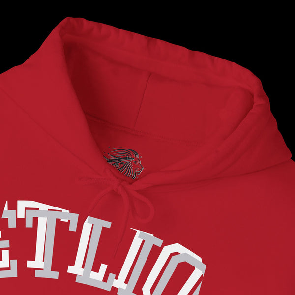 Manifest by JetLion Streak Hoodie: Unisex Luxury Streetwear Hoodies x Gift for Him x JetLion Signature Drop