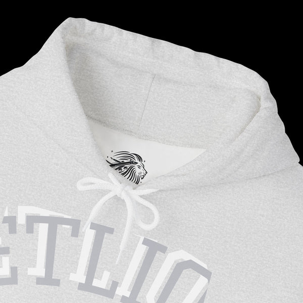 Manifest by JetLion Streak Hoodie: Unisex Luxury Streetwear Hoodies x Gift for Him x JetLion Signature Drop