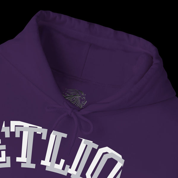 Manifest by JetLion Streak Hoodie: Unisex Luxury Streetwear Hoodies x Gift for Him x JetLion Signature Drop