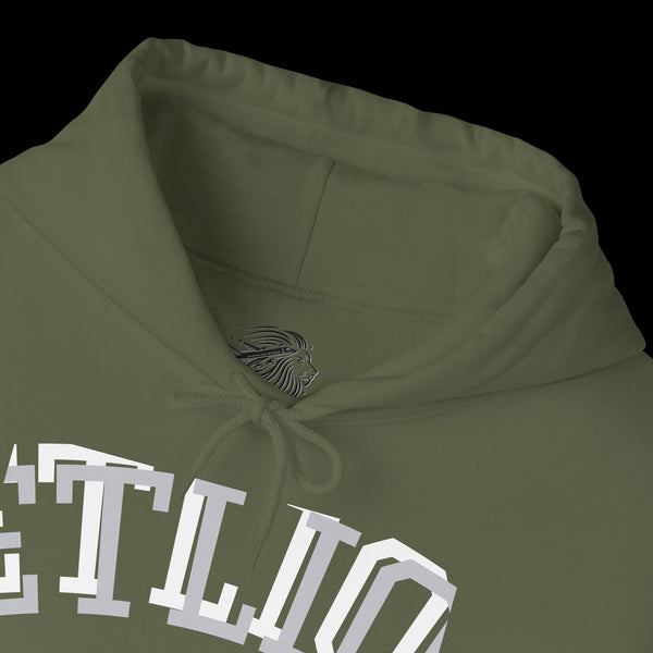 Manifest by JetLion Streak Hoodie: Unisex Luxury Streetwear Hoodies x Gift for Him x JetLion Signature Drop