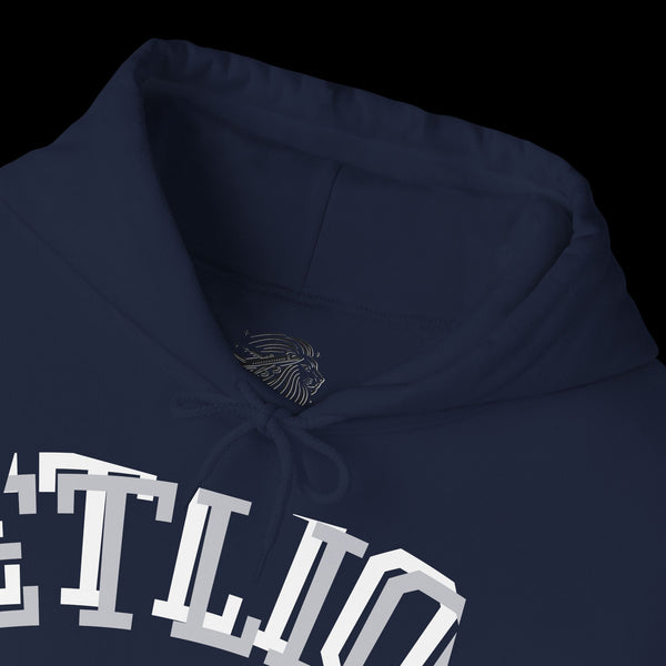 Manifest by JetLion Streak Hoodie: Unisex Luxury Streetwear Hoodies x Gift for Him x JetLion Signature Drop