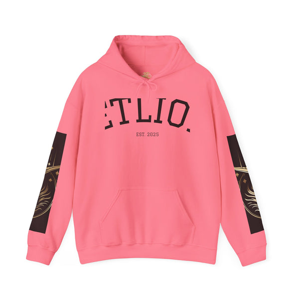 Manifest by JetLion Racer Hoodie:  Unisex Luxury Streetwear x Gift for Him x JetLion Signature Drop