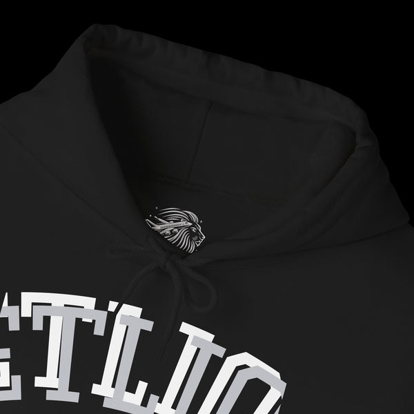 Manifest by JetLion Streak Hoodie: Unisex Luxury Streetwear Hoodies x Gift for Him x JetLion Signature Drop