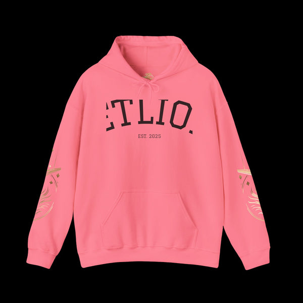 Manifest by JetLion Streak Hoodie:  Unisex Luxury Streetwear x Gift for Him x JetLion Signature Drop