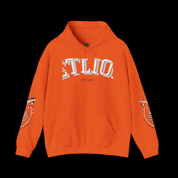 Manifest by JetLion Streak Hoodie: Unisex Luxury Streetwear Hoodies x Gift for Him x JetLion Signature Drop