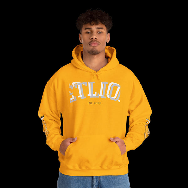 Manifest by JetLion Streak Hoodie: Unisex Luxury Streetwear Hoodies x Gift for Him x JetLion Signature Drop