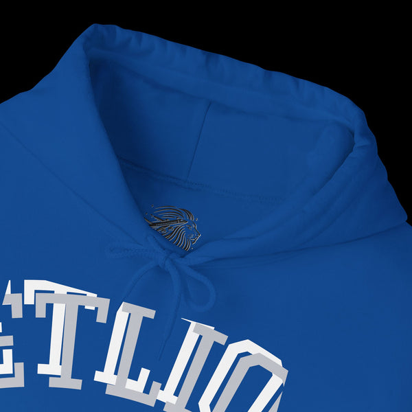 Manifest by JetLion Streak Hoodie: Unisex Luxury Streetwear Hoodies x Gift for Him x JetLion Signature Drop