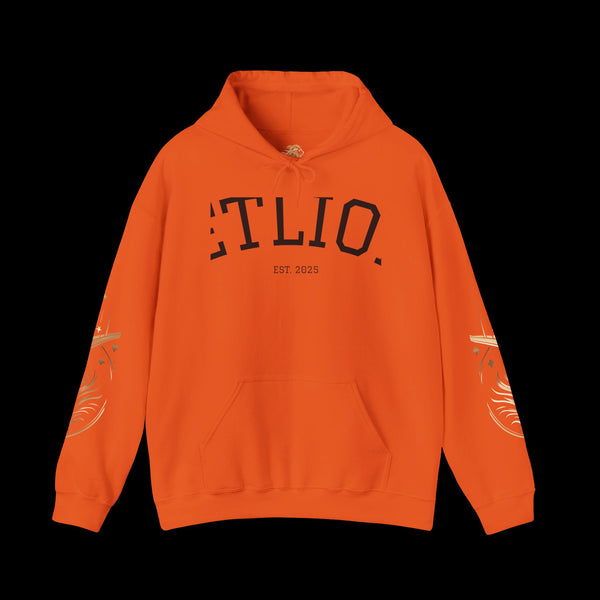 Manifest by JetLion Streak Hoodie:  Unisex Luxury Streetwear x Gift for Him x JetLion Signature Drop