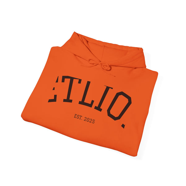 Manifest Hoodie:  Unisex Luxury Streetwear x Gift for Him x JetLion Signature Drop (Copy)