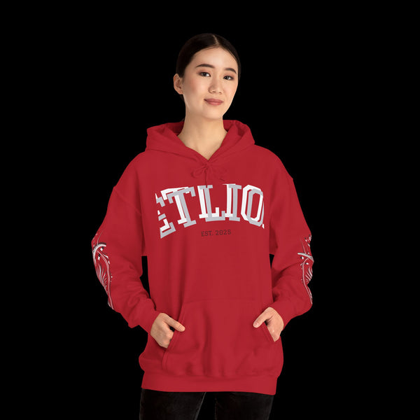 Manifest by JetLion Streak Hoodie: Unisex Luxury Streetwear Hoodies x Gift for Him x JetLion Signature Drop