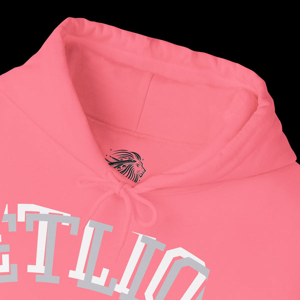 Manifest by JetLion Streak Hoodie: Unisex Luxury Streetwear Hoodies x Gift for Him x JetLion Signature Drop