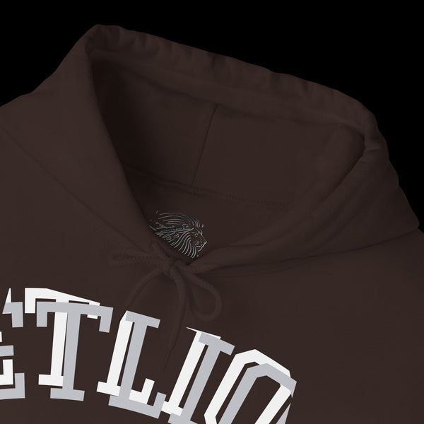 Manifest by JetLion Streak Hoodie: Unisex Luxury Streetwear Hoodies x Gift for Him x JetLion Signature Drop