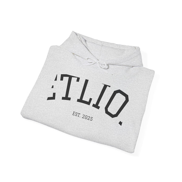 Manifest Hoodie:  Unisex Luxury Streetwear x Gift for Him x JetLion Signature Drop (Copy)