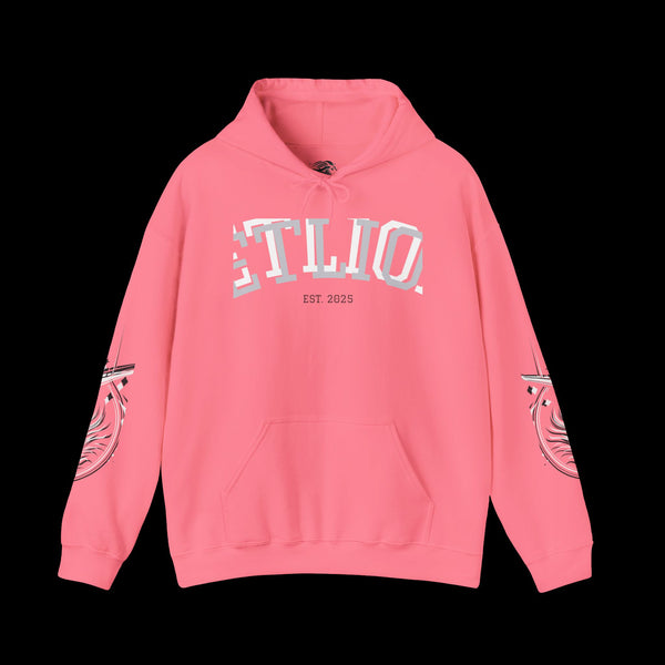 Manifest by JetLion Streak Hoodie: Unisex Luxury Streetwear Hoodies x Gift for Him x JetLion Signature Drop