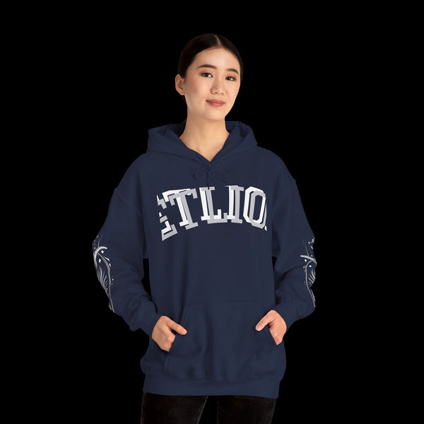 Manifest by JetLion Streak Hoodie: Unisex Luxury Streetwear Hoodies x Gift for Him x JetLion Signature Drop