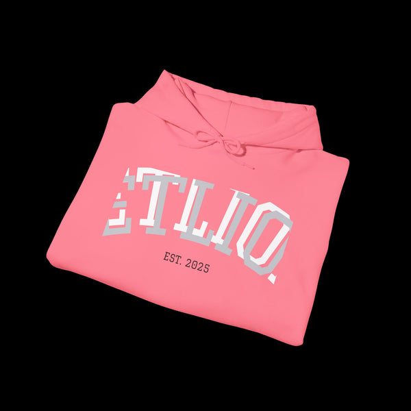 Manifest by JetLion Streak Hoodie: Unisex Luxury Streetwear Hoodies x Gift for Him x JetLion Signature Drop