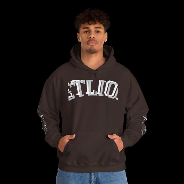 Manifest by JetLion Streak Hoodie: Unisex Luxury Streetwear Hoodies x Gift for Him x JetLion Signature Drop