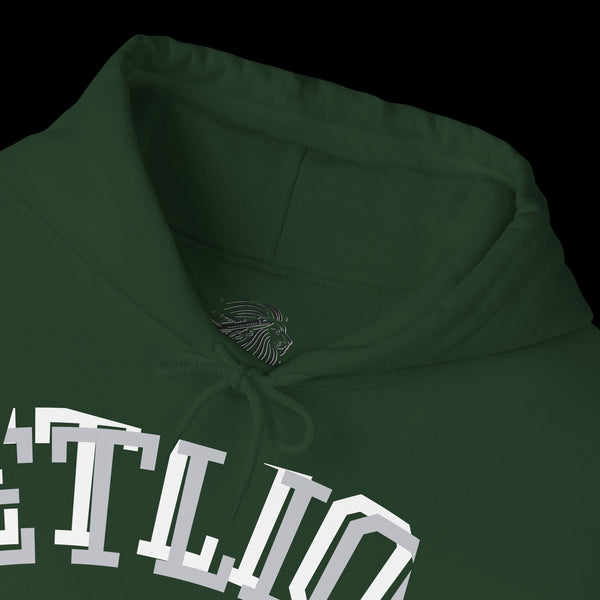 Manifest by JetLion Streak Hoodie:  Unisex Luxury Streetwear Hoodies x Gift for Him x JetLion Signature Drop