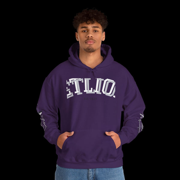 Manifest by JetLion Streak Hoodie:  Unisex Luxury Streetwear Hoodies x Gift for Him x JetLion Signature Drop