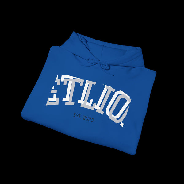 Manifest by JetLion Streak Hoodie:  Unisex Luxury Streetwear Hoodies x Gift for Him x JetLion Signature Drop