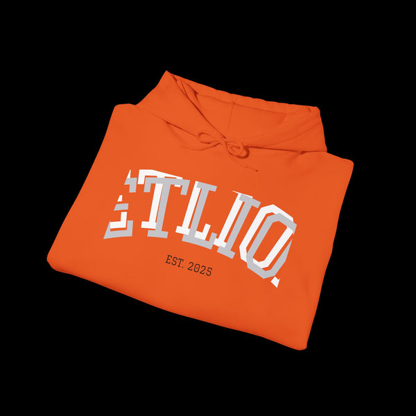 Manifest by JetLion Streak Hoodie:  Unisex Luxury Streetwear Hoodies x Gift for Him x JetLion Signature Drop