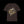 Forward Slash by JetLion: Unisex Minimalist Expression Shirt x Streetwear Gift for Him x JetLion Essential Drop
