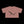 Phrazorblade by JetLion Presents: L.O.T.U.S. | Live, Observe, Think, Understand, Sacrifice - Perfect for Casual Outings, Spring Celebrations, Yoga, and Summer Festivals
