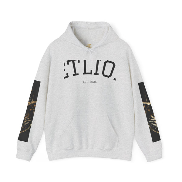 Manifest Hoodie:  Unisex Luxury Streetwear x Gift for Him x JetLion Signature Drop (Copy)