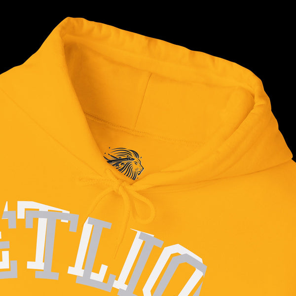 Manifest by JetLion Streak Hoodie:  Unisex Luxury Streetwear Hoodies x Gift for Him x JetLion Signature Drop