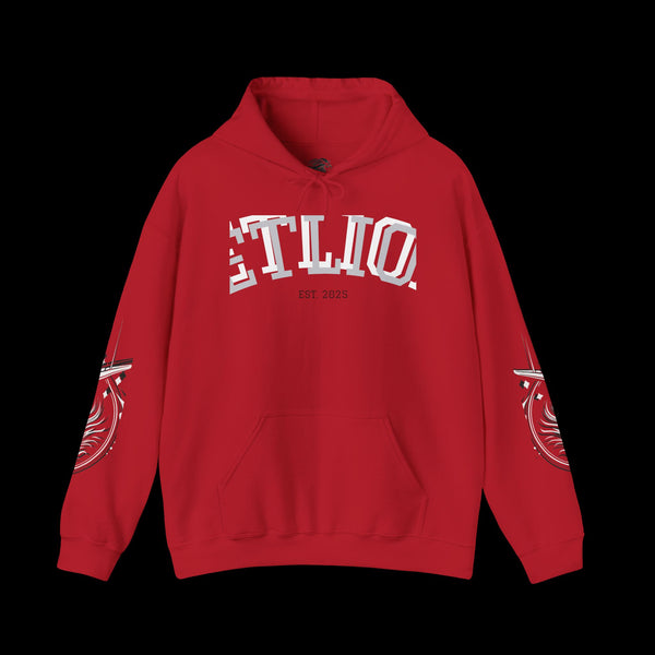 Manifest by JetLion Streak Hoodie:  Unisex Luxury Streetwear Hoodies x Gift for Him x JetLion Signature Drop