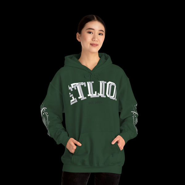 Manifest by JetLion Streak Hoodie:  Unisex Luxury Streetwear Hoodies x Gift for Him x JetLion Signature Drop