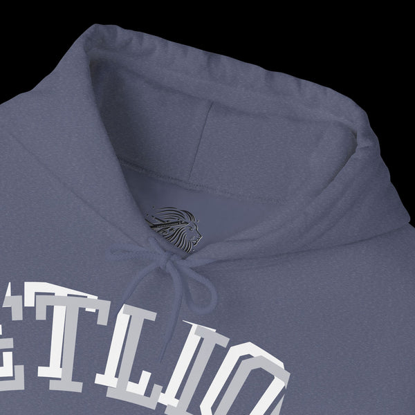 Manifest by JetLion Streak Hoodie:  Unisex Luxury Streetwear Hoodies x Gift for Him x JetLion Signature Drop