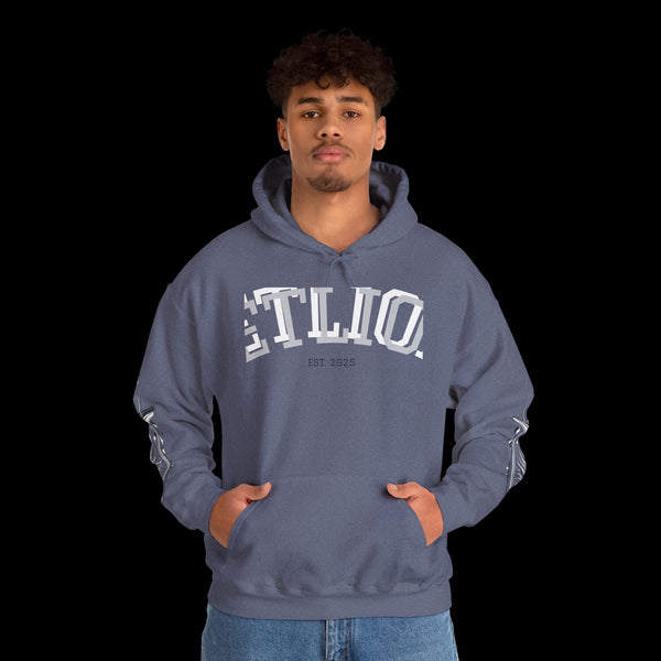 Manifest by JetLion Streak Hoodie:  Unisex Luxury Streetwear Hoodies x Gift for Him x JetLion Signature Drop