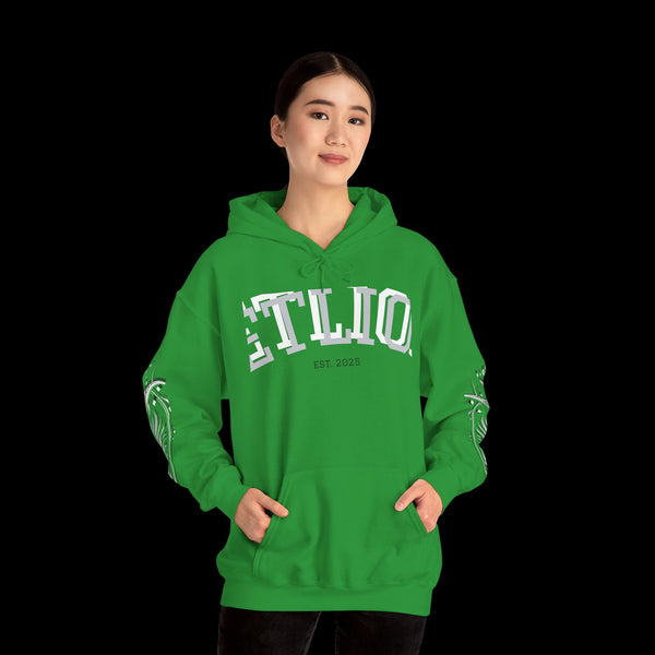 Manifest by JetLion Streak Hoodie:  Unisex Luxury Streetwear Hoodies x Gift for Him x JetLion Signature Drop