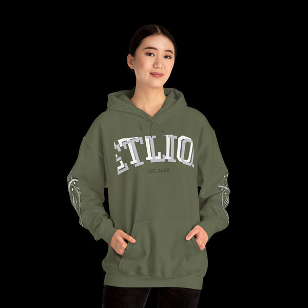 Manifest by JetLion Streak Hoodie:  Unisex Luxury Streetwear Hoodies x Gift for Him x JetLion Signature Drop